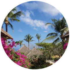 旅行・レジャーの保険